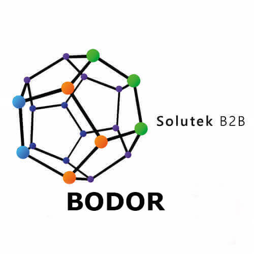 Bodor